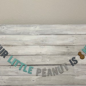 May include: A banner with the text "Our Little Peanut Is One" in gray and blue letters with a peanut graphic. The banner is hanging on a white wood background.