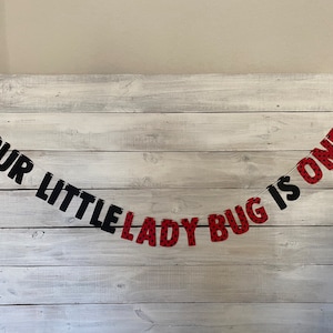 Our little lady bug is ONE- Lady Bug Birthday Banner-Lady Bug Party Decor-First Birthday Party Decor- First Birthday Theme