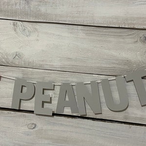 May include: A gray and pink paper banner with the word "PEANUT" spelled out in gray letters and the letter "E" in pink. The banner is strung on a white string and is hanging against a light gray wood background.