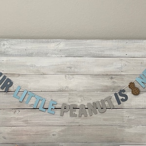 May include: A blue and gray banner with the text "Our Little Peanut Is One" and peanut-shaped decorations.