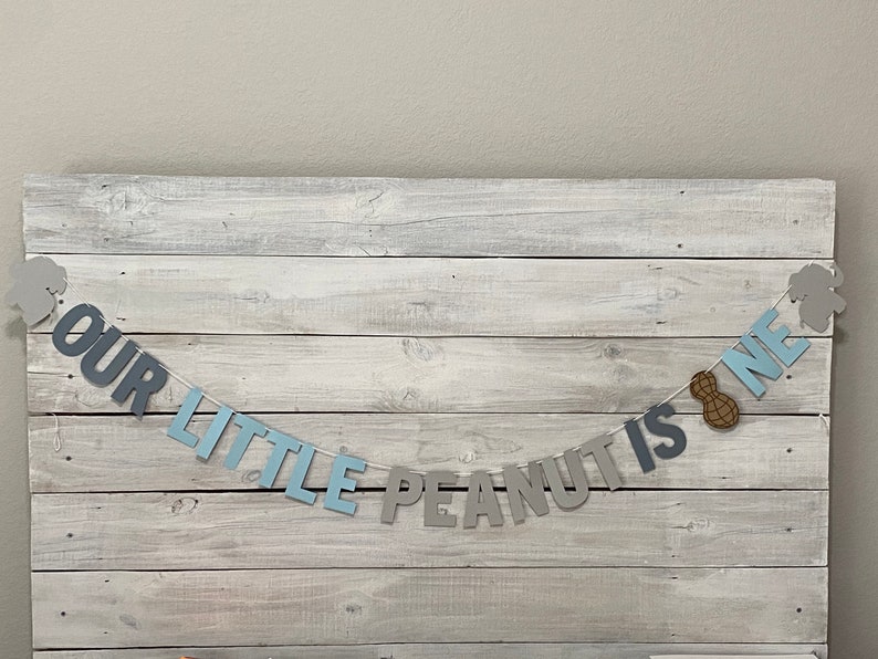 May include: A blue and gray banner with the text "Our Little Peanut Is One" and peanut-shaped decorations.