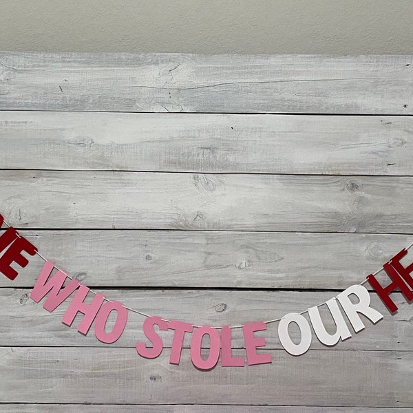 The ONE Who Stole Our Hearts Banner - Valentine’s Birthday Banner - Valentine’s Birthday Decorations - First Birthday Party Decorations