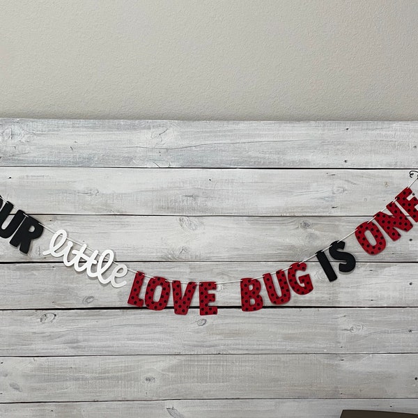 Our little LOVE BUG is ONE- Love Bug Birthday Banner-Lady Bug Party Decor-First Birthday Party Decor- First Birthday Theme-Valentines Bday