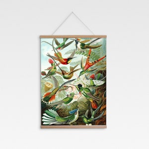 May include: A vintage illustration of a group of hummingbirds in flight, with vibrant green, red, and blue colors. The birds are depicted in a variety of poses, with their wings spread wide and their beaks open. The background is a lush green forest with leaves and branches.