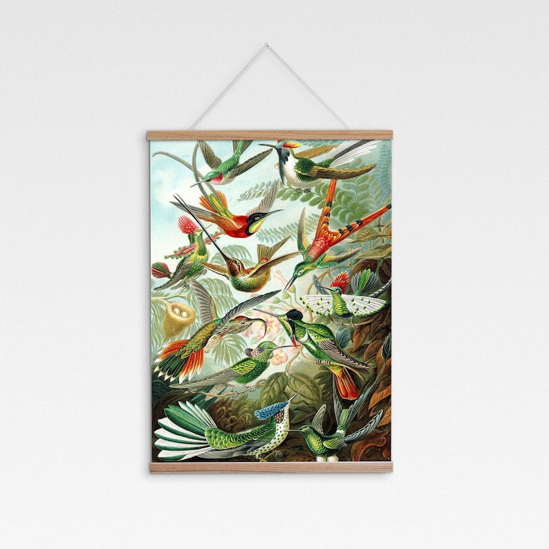May include: A vintage illustration of a group of hummingbirds in flight, with vibrant green, red, and blue colors. The birds are depicted in a variety of poses, with their wings spread wide and their beaks open. The background is a lush green forest with leaves and branches.