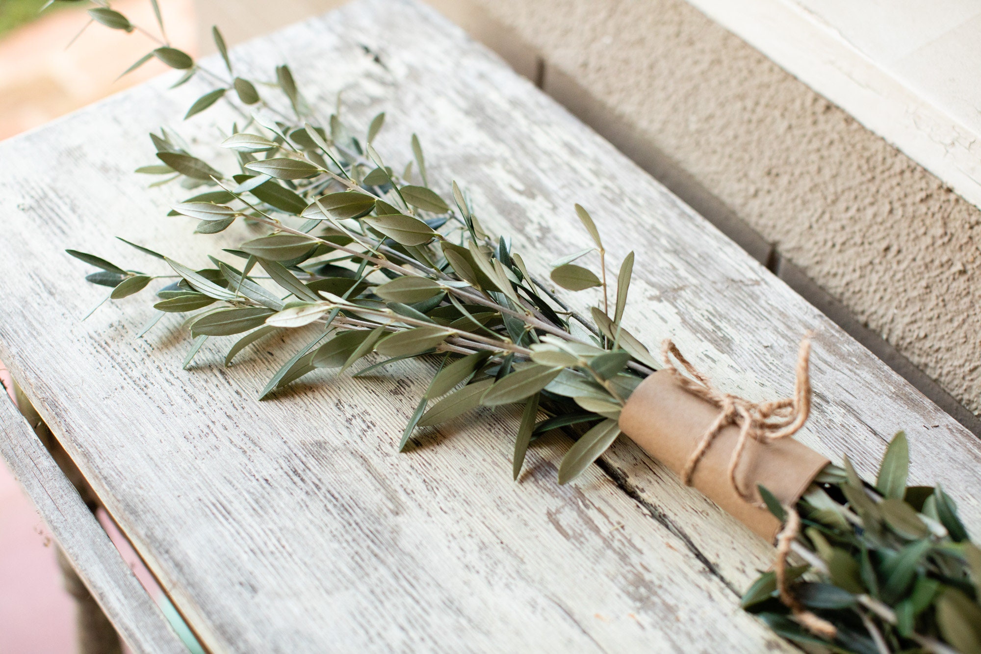 Fresh olive branches, Per bunch of 400 grams, Length 65 centimetres 