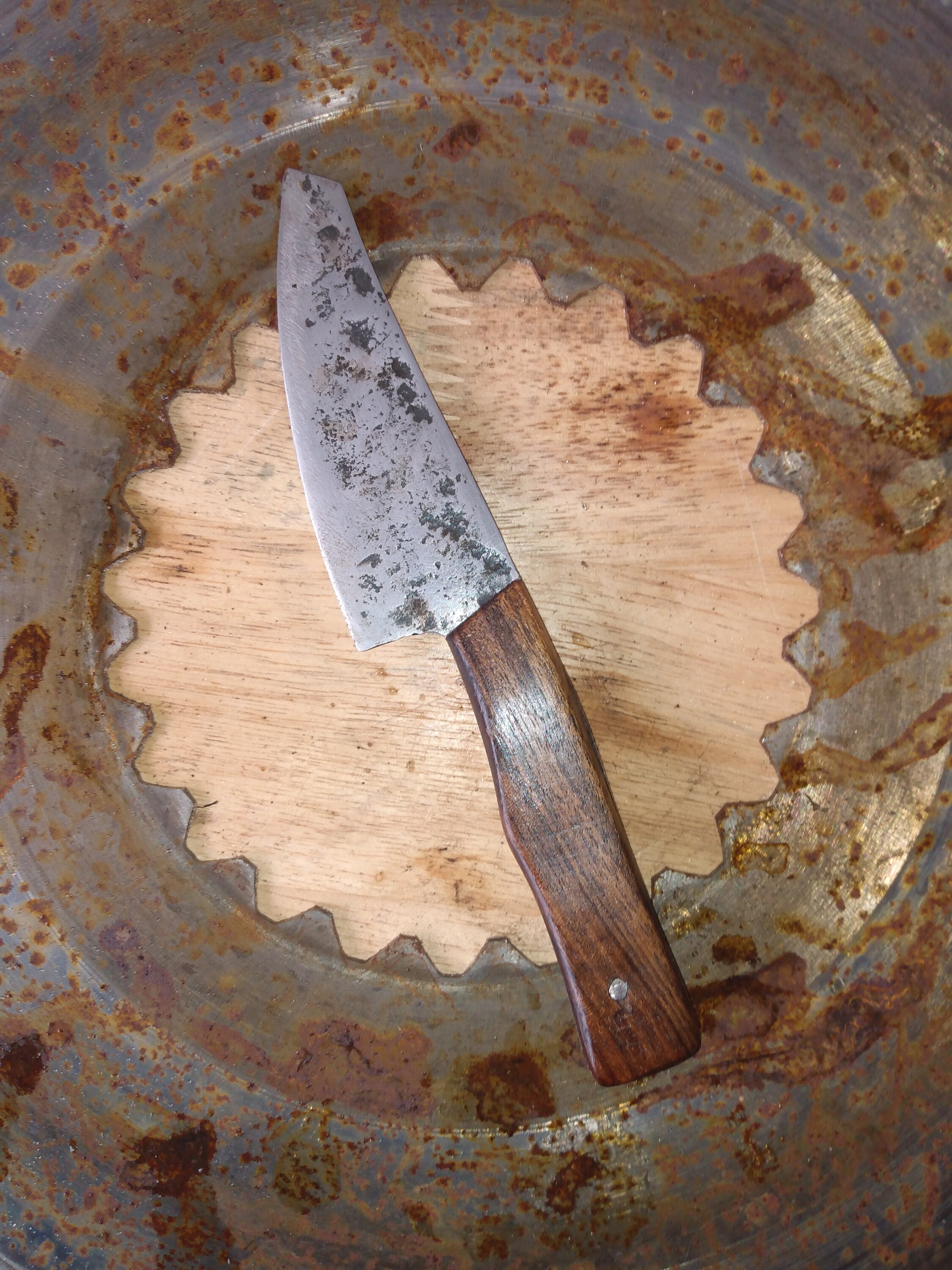 Foraging Knife with black walnut handle Etsy