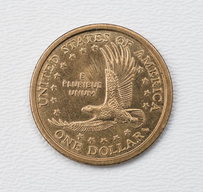 2000 P Sacagawea One Dollar Error Coin Collectible Coin Etsy