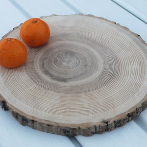 large tree slice Ash wood slice Rustic wedding decor image 4