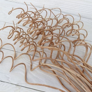 10Willow branches for vase Dried twigs Curly branches