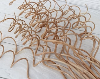 10Willow branches for vase Dried twigs Curly branches