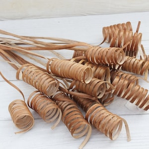 20Tree branches centerpieces Curly sticks for vases Decorative branches