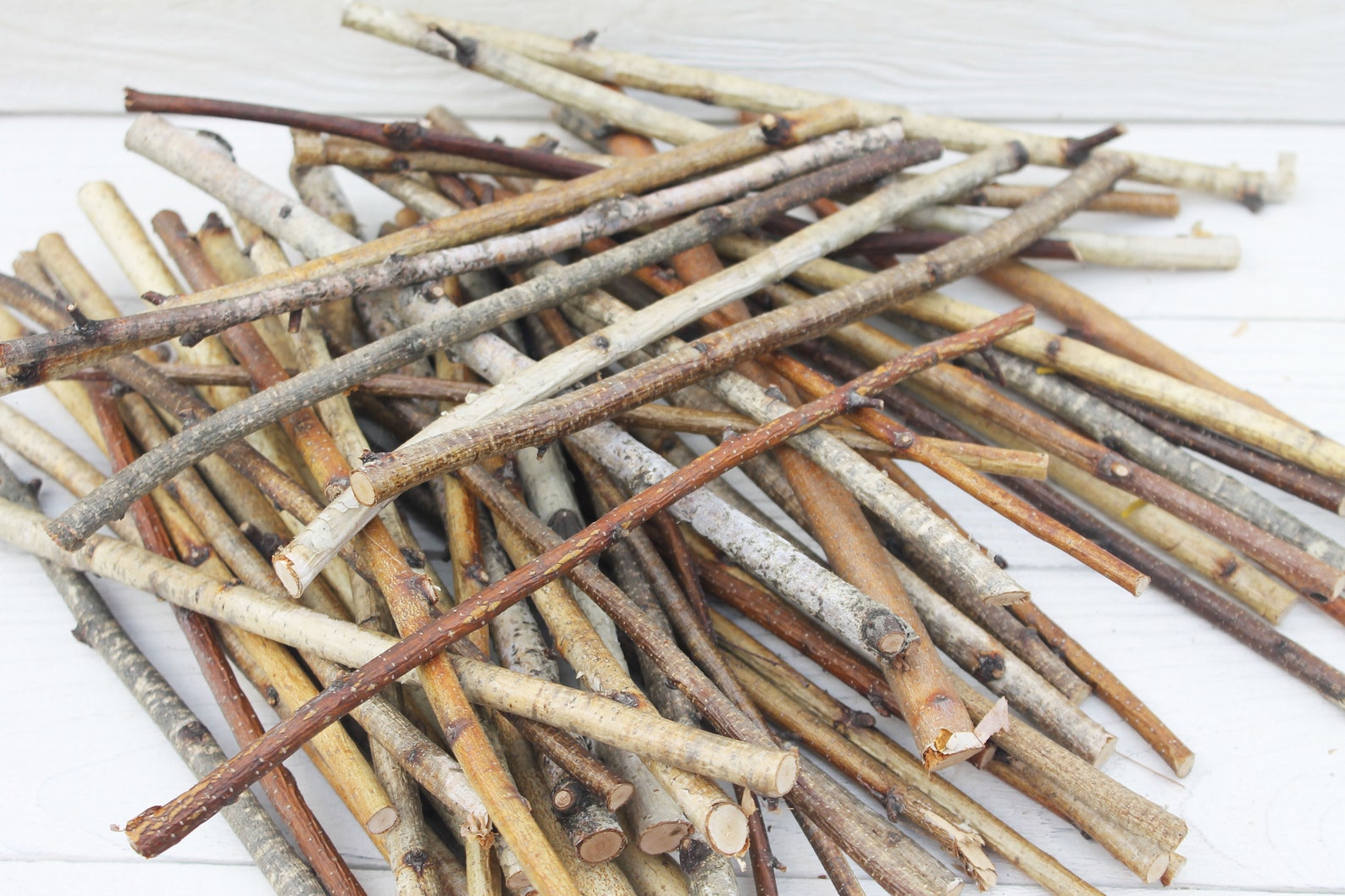 20 Thin birch sticks Wood branches for vase White birch twigs Etsy