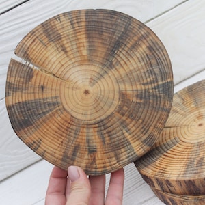 Pine wood slices Wood rounds crafting