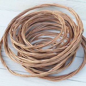 Willow branches wreath Dreamcatcher hoop