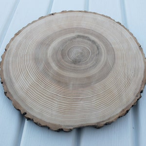 large tree slice Ash wood slice Rustic wedding decor image 1