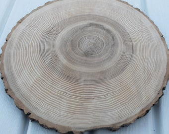 large tree slice Ash wood slice Rustic wedding decor