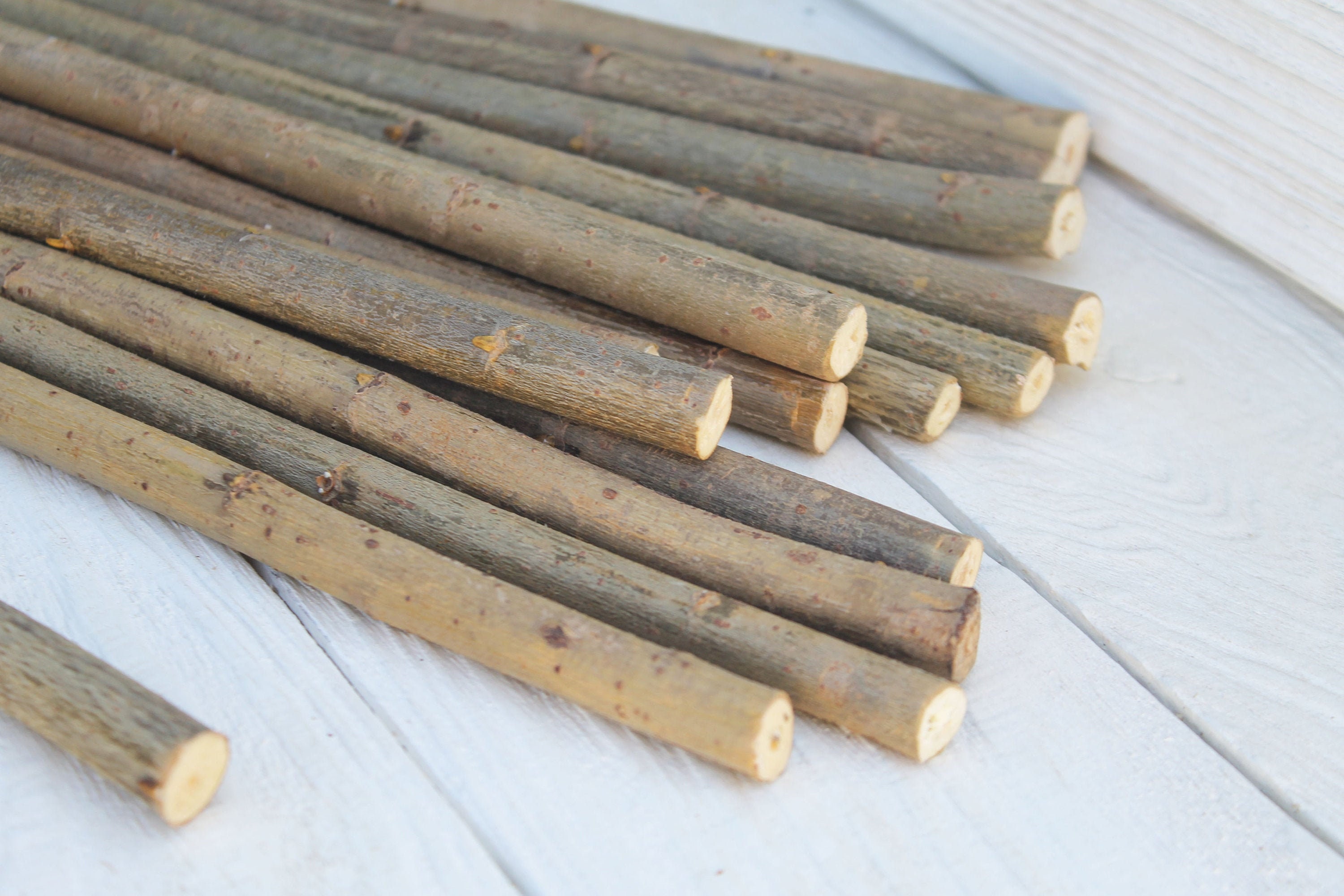 10 willow sticks Natural wood sticks Willow branches Etsy