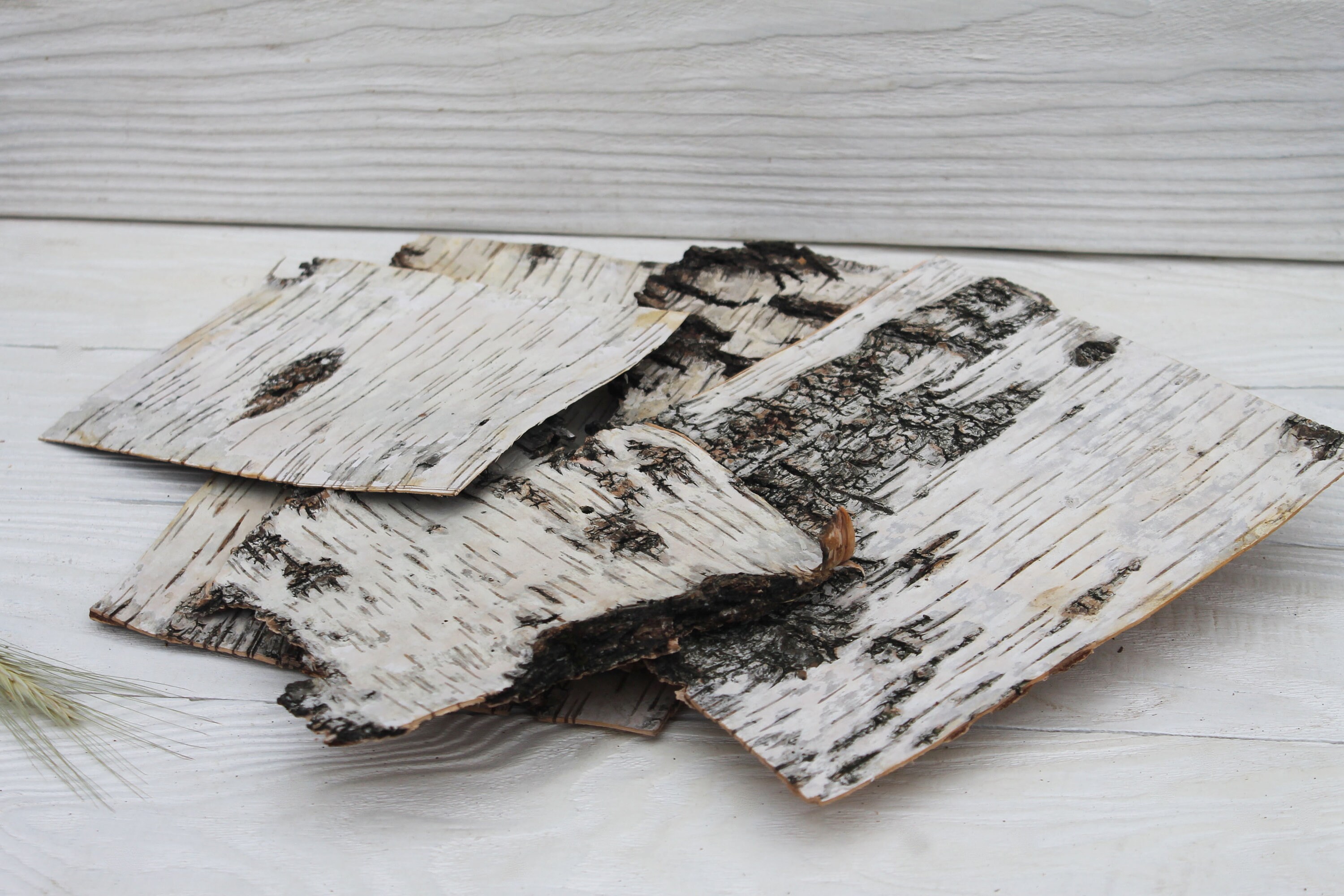 Set 5 birch bark sheets Birch bark crafts | Etsy