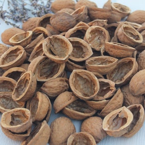 100 walnut halves Natural walnut shell for decor