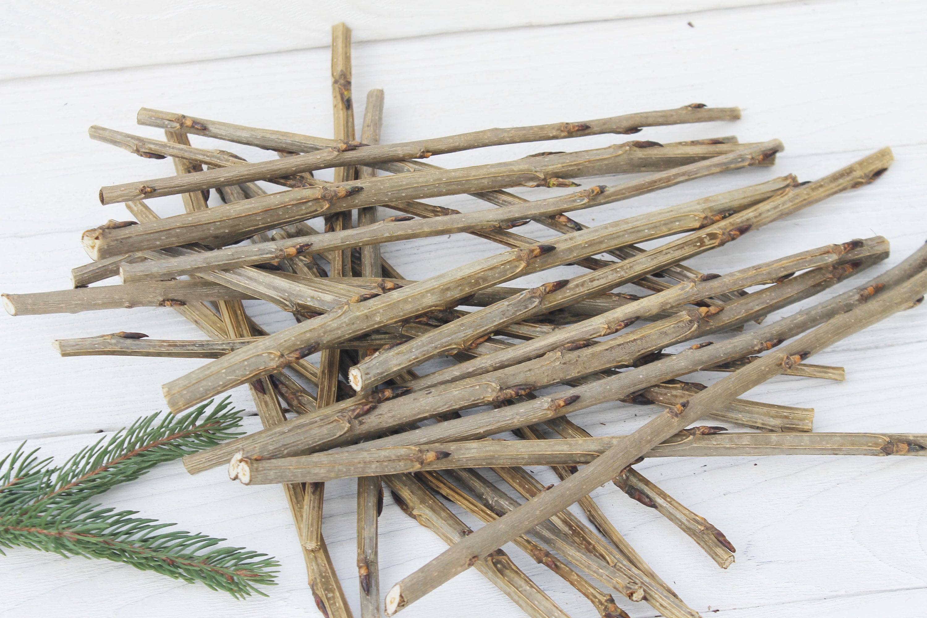 25herjos de madera decoración de palos de madera Etsy