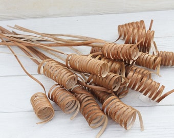 白樺樹皮シートセット 工芸品用の乾燥樹皮 - Etsy 日本