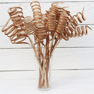 Dried willow branches Tall decorative twigs Sticks for vase Tree branches decor