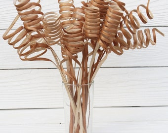 Dried willow branches Tall decorative twigs Sticks for vase Tree branches decor