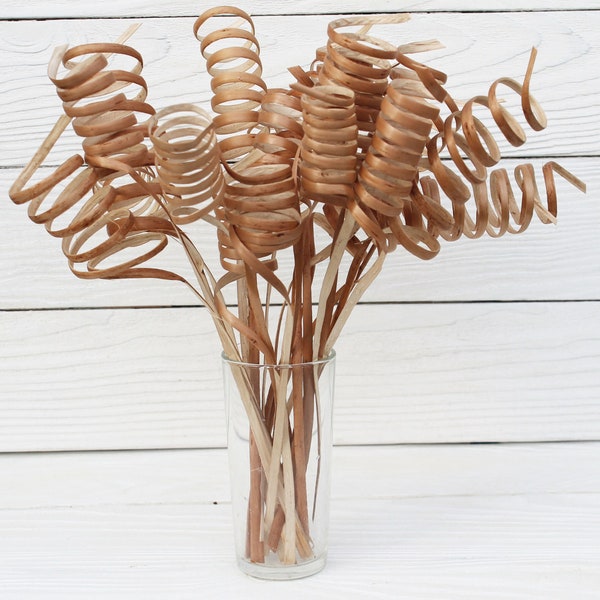 Dried Decorative Twigs Etsy
