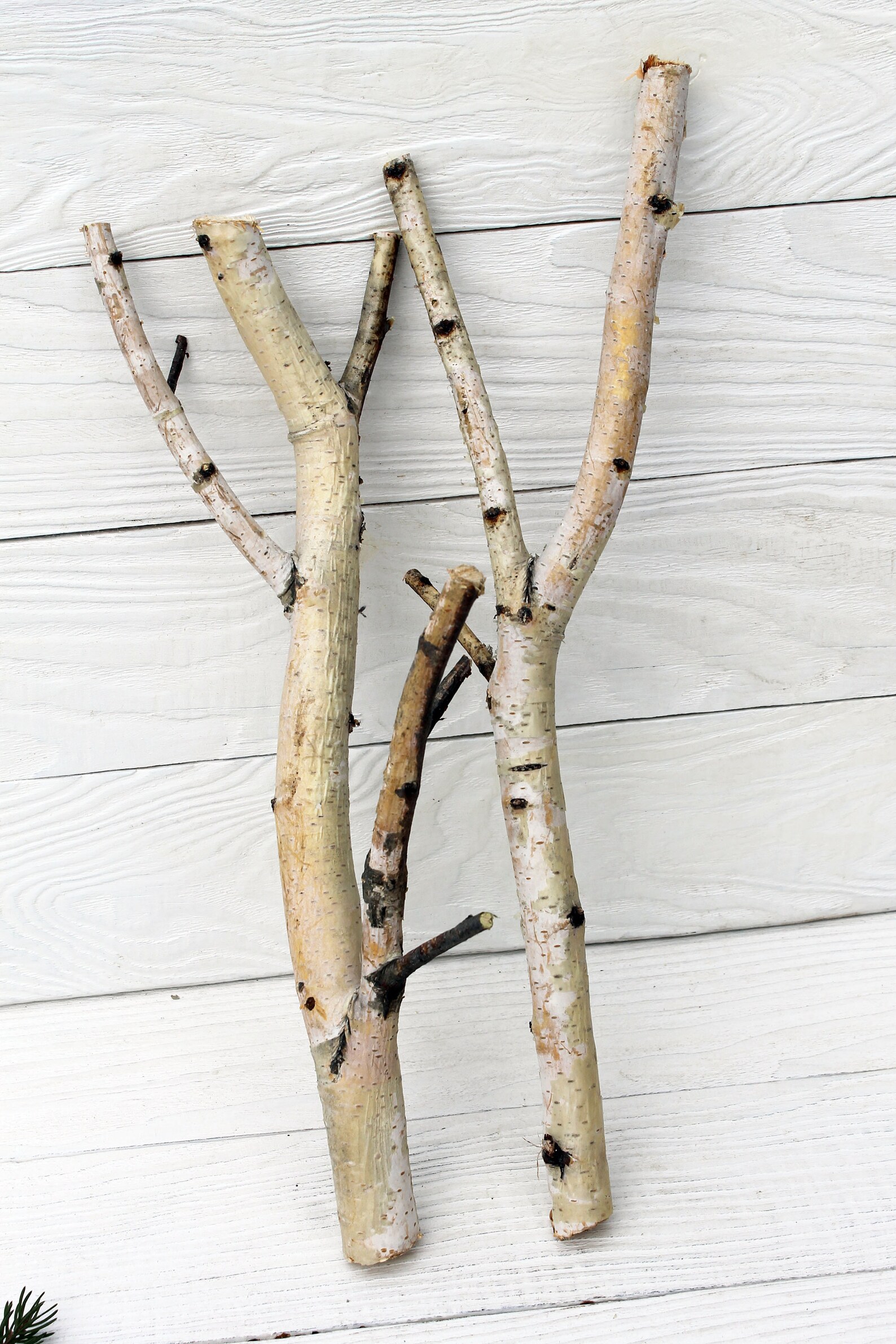 White birch branches Wood branch decor Etsy