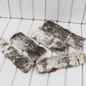 5 birch bark sheets Thick tree bark for crafts