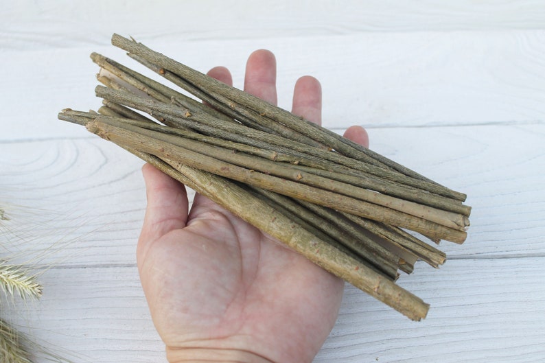 May include: A bunch of thin, brown twigs, about 30 cm long, held in a hand. The twigs are natural and have a rough texture.