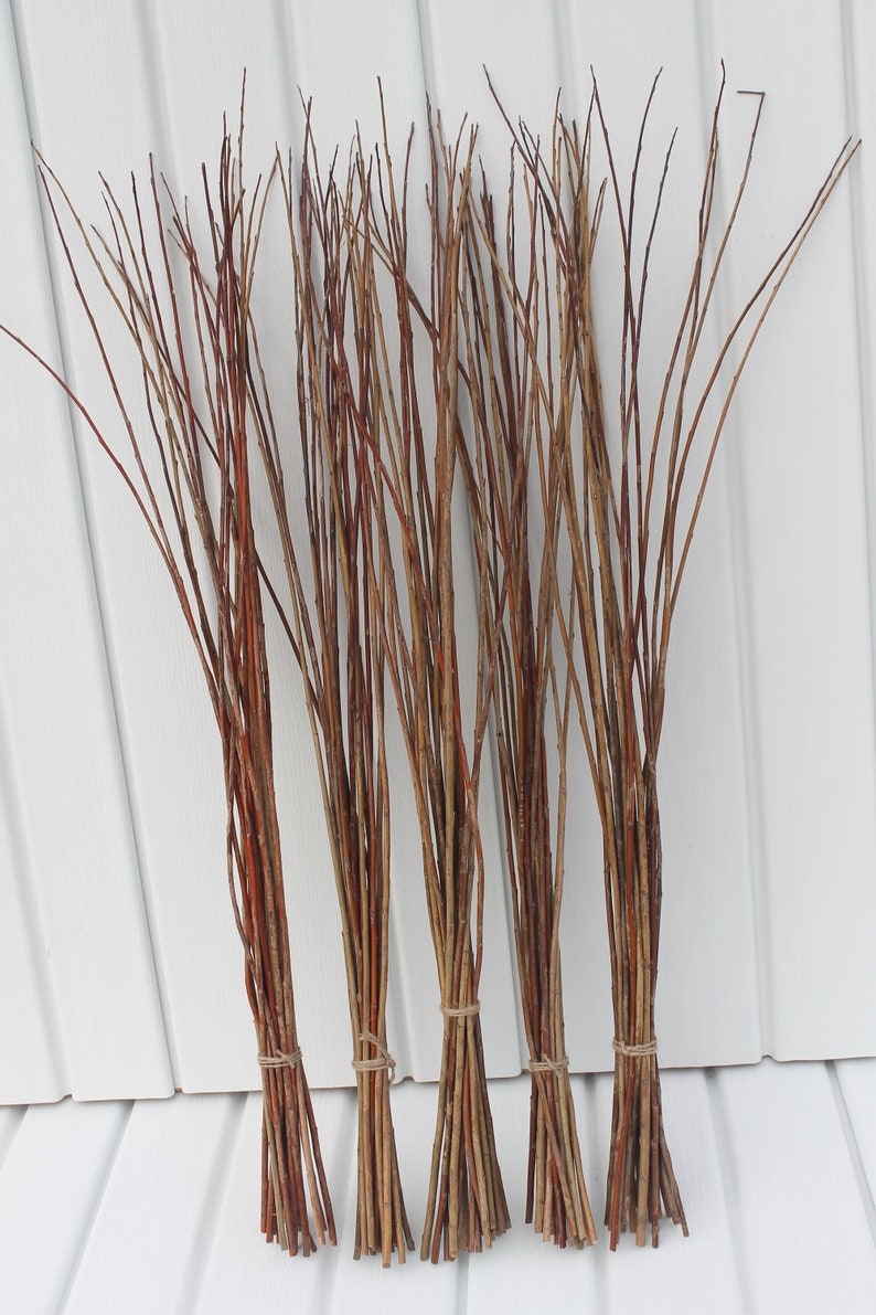 Dried Willow Branches for Vase Tree Branches Centerpiece Etsy