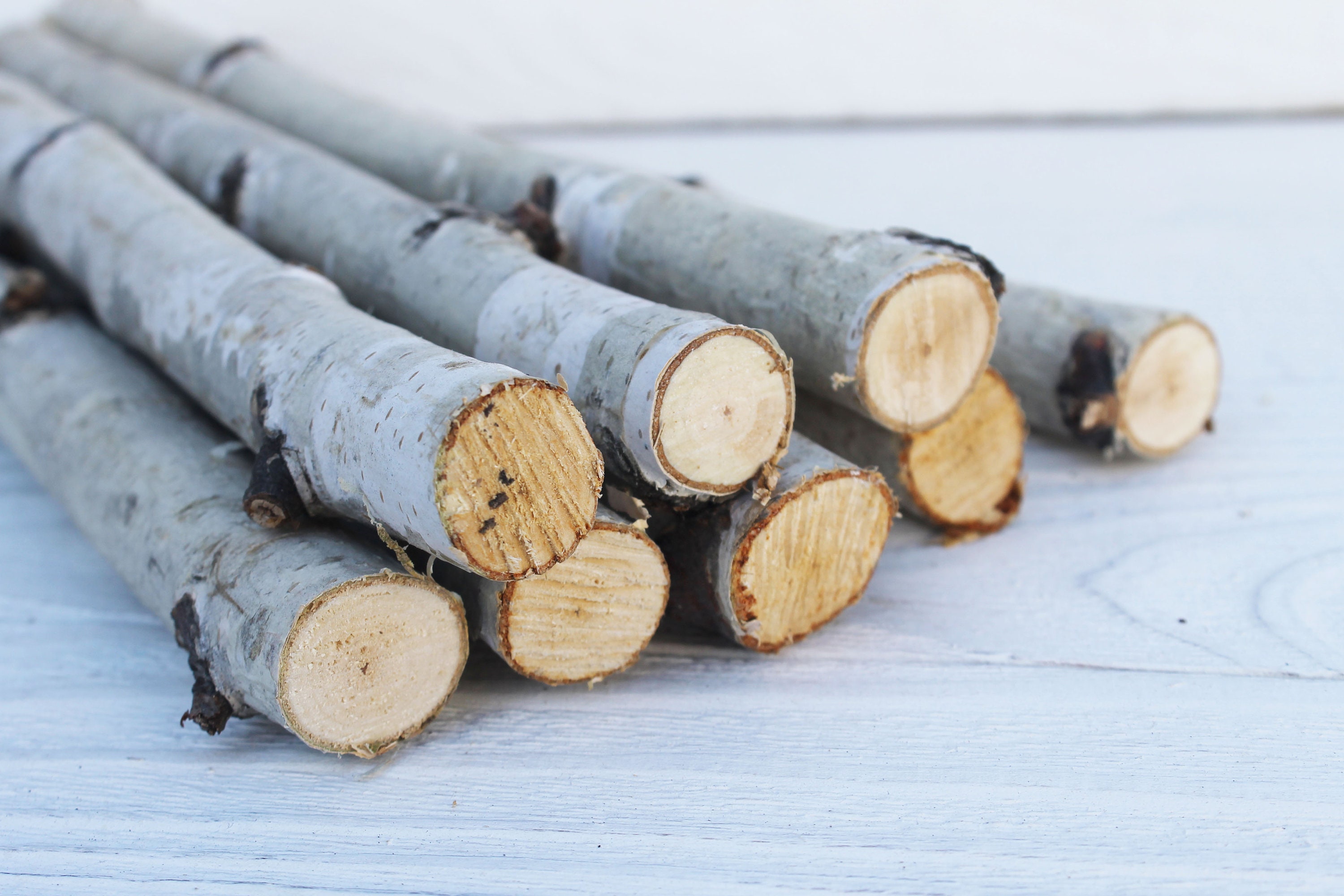 8 White Birch Branches Wood Sticks for Vase Etsy