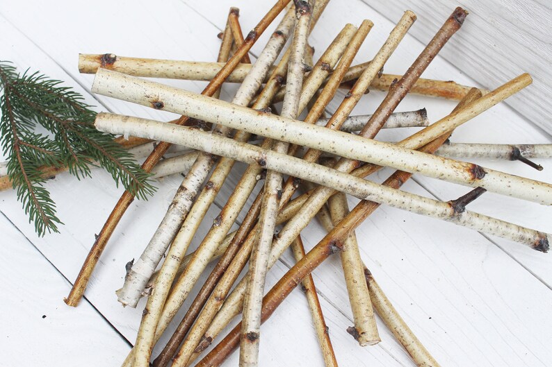 White birch sticks Natural wood sticks Etsy