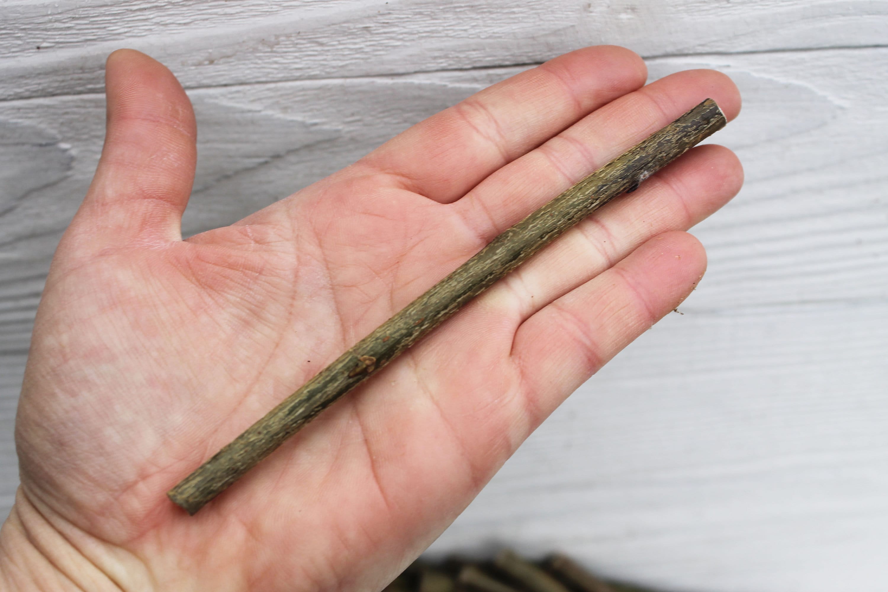 50 Willow branches Wood sticks crafting Willow sticks for Etsy