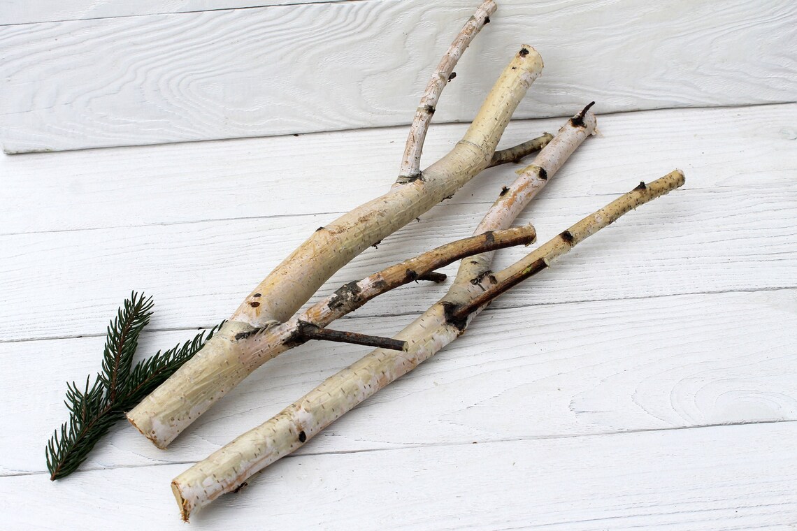 White birch branches Wood branch decor Etsy