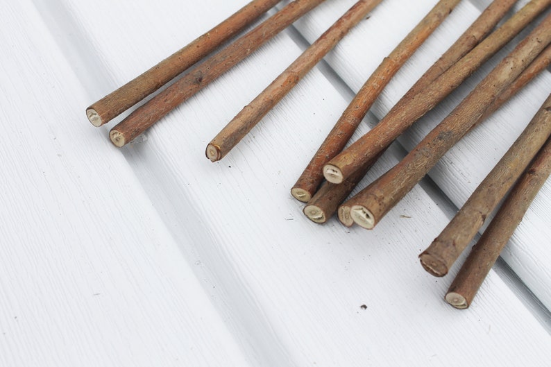 Long Willow Sticks Wood Branches for Crafts Etsy