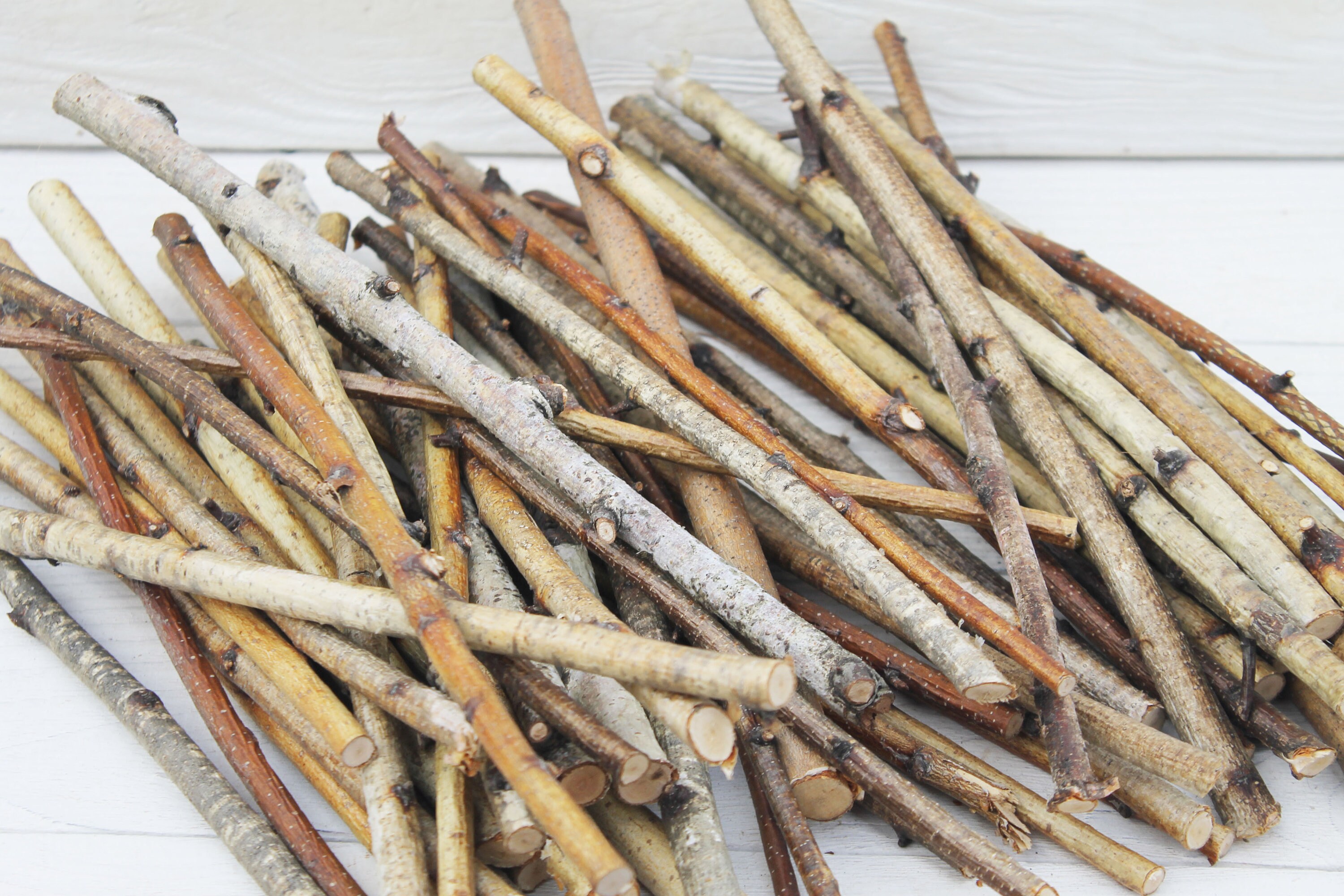 20 Thin birch sticks Wood branches for vase White birch twigs Etsy