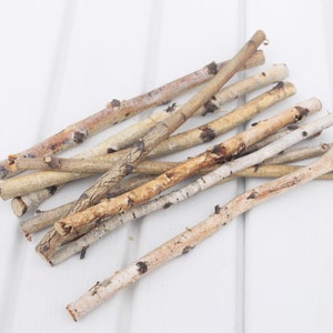 10 birch sticks Birch logs for decor