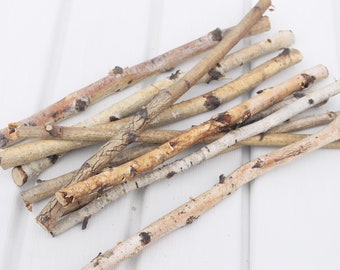 10 birch sticks Birch logs for decor