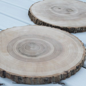 large tree slice Ash wood slice Rustic wedding decor image 9
