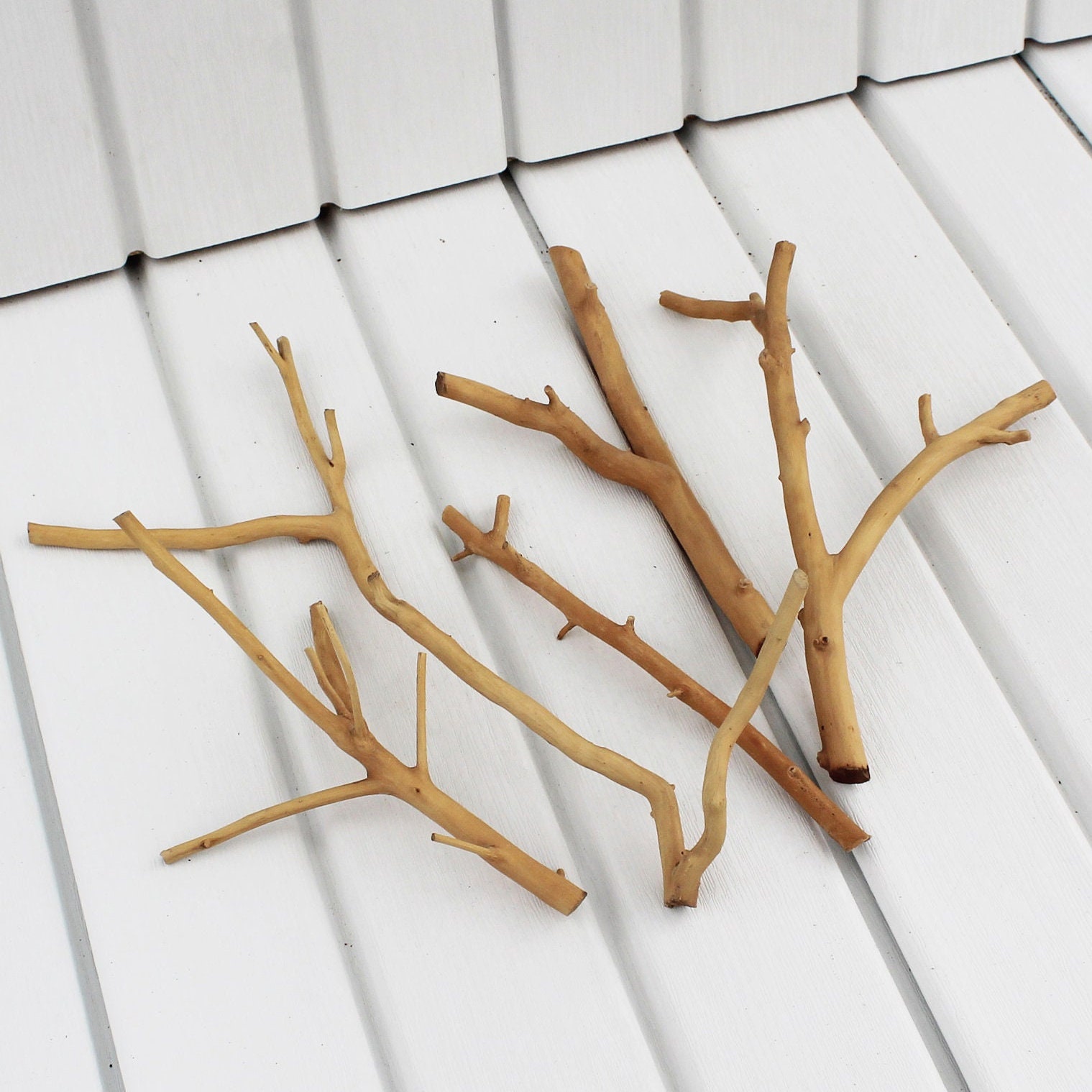 Wooden curved sticks for crafting Apple tree driftwood