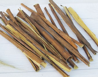 「専用ページ」白樺の樹皮 約5kg 白樺皮 正方形L ﾅﾁｭﾗﾙ: 花資材 ｜ YDMオンラインストア ｜ 横浜