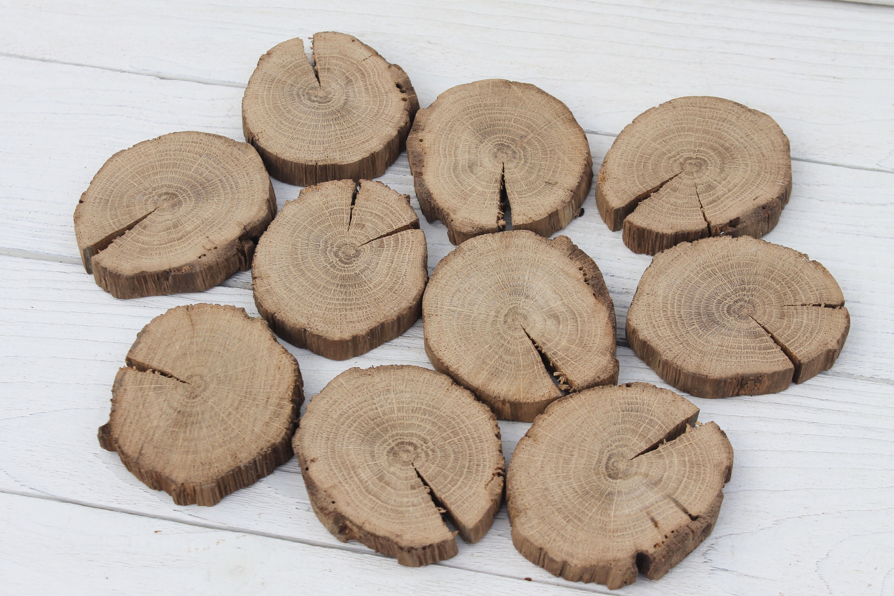 10 oak rounds Wood slices bulk Rustic wood discs Etsy