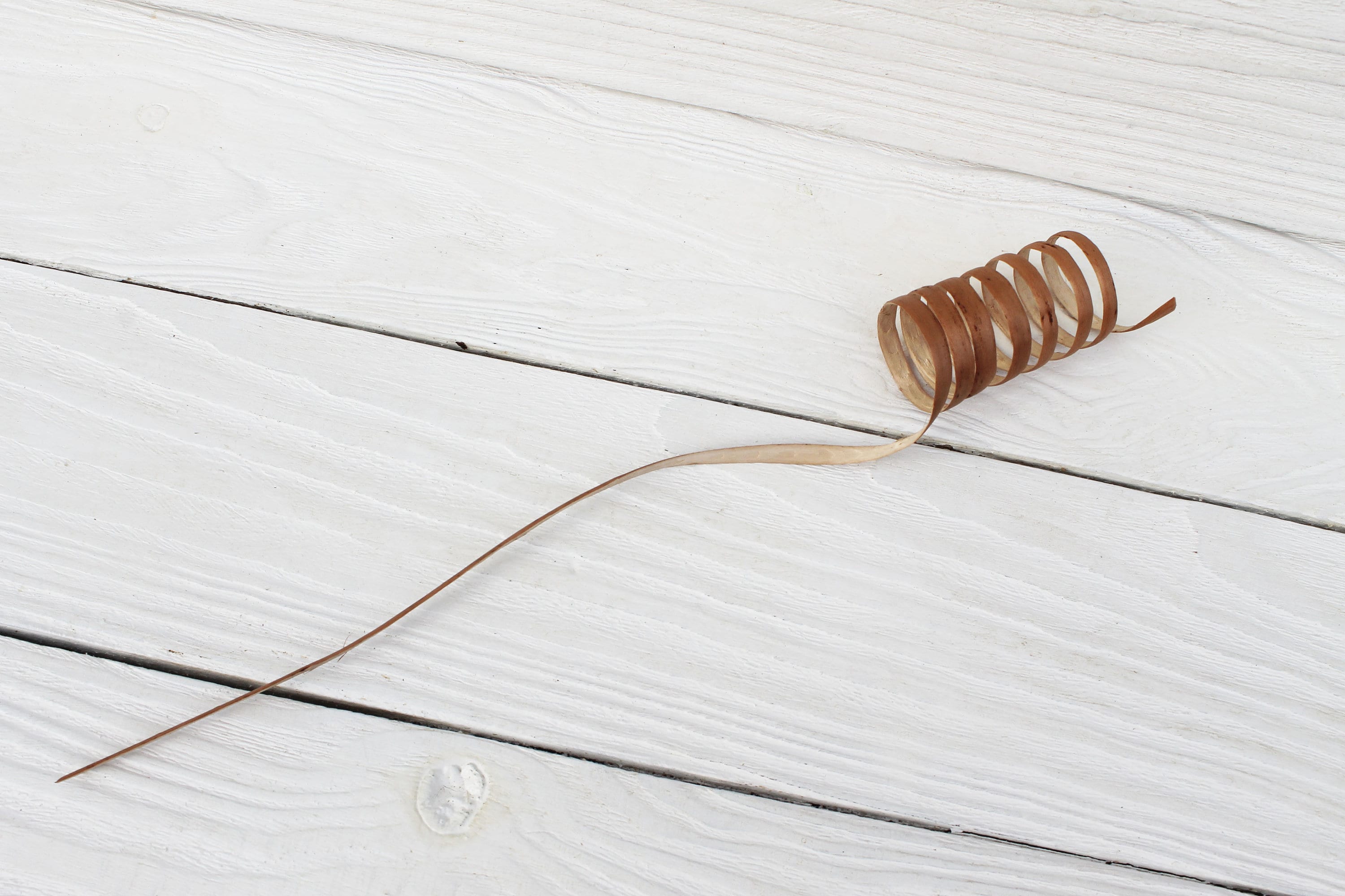 20tree Branches Centerpieces Curly Sticks for Vases Decorative Etsy