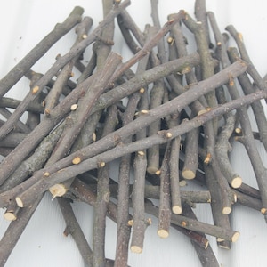 Apple sticks for chinchilla Natural wood sticks
