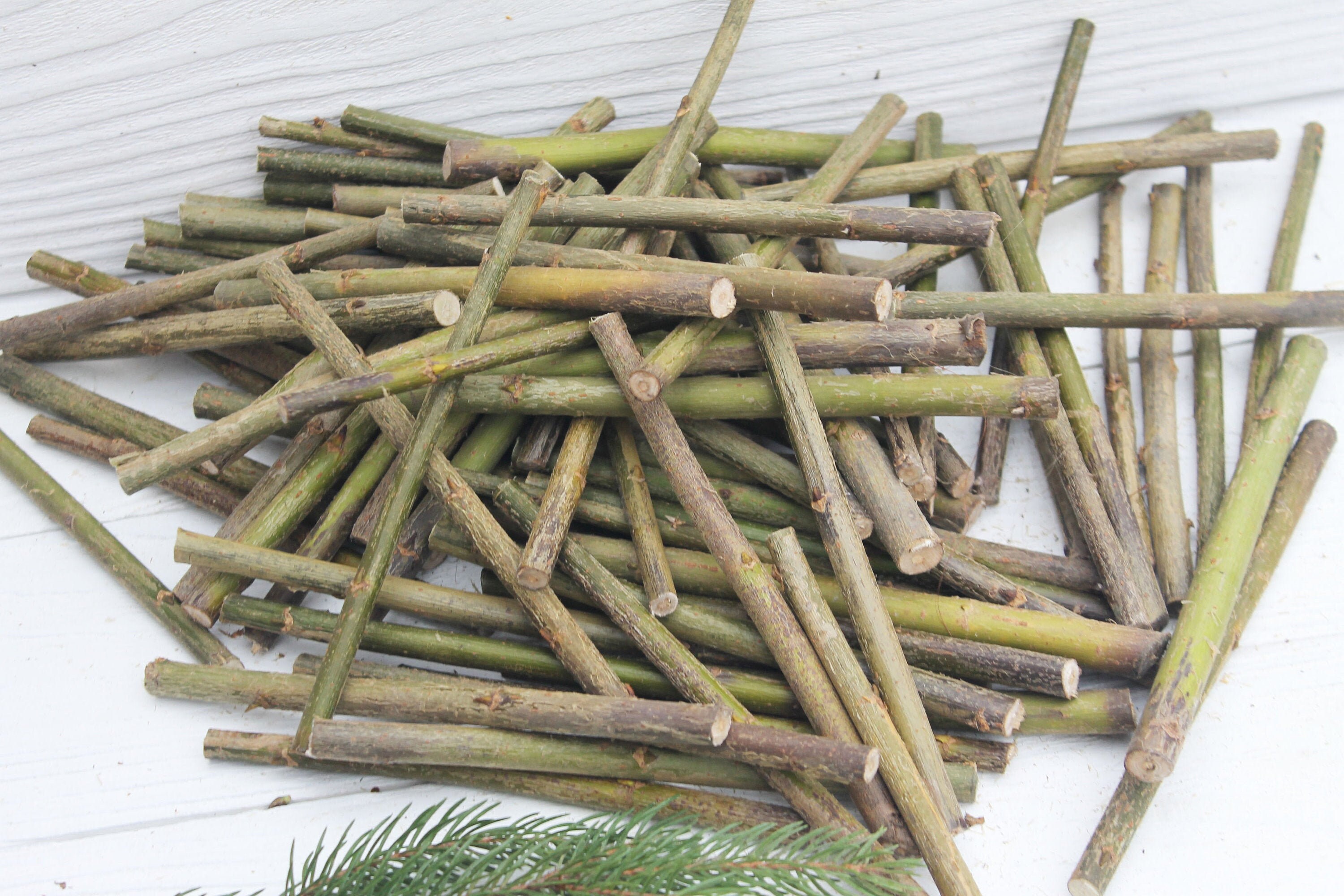 50 willow branches Craft sticks Etsy