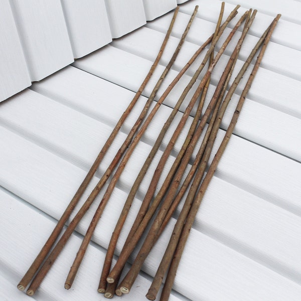 longs bâtons de saule branches de bois pour l'artisanat