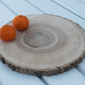 large tree slice Ash wood slice Rustic wedding decor image 2